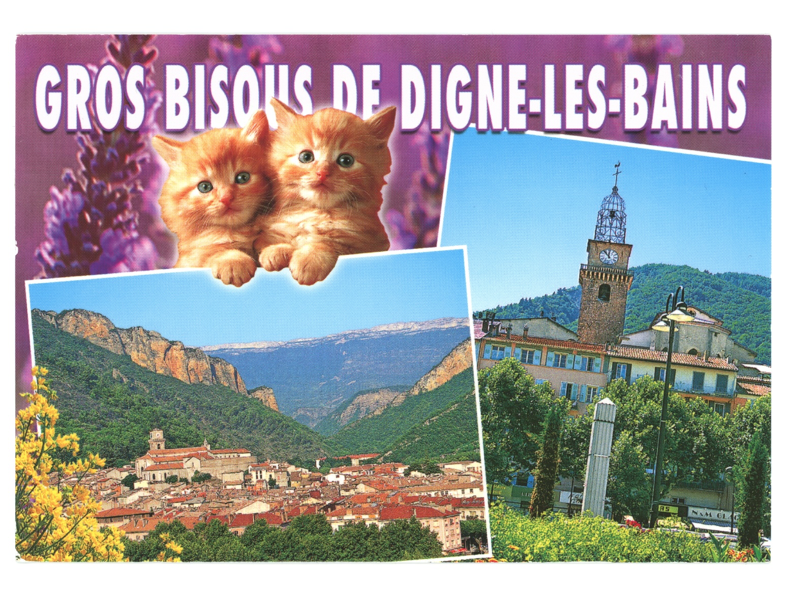  - ON YOUR FEET BOOK LAUNCH with Jacqueline Feldman & Friends